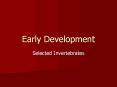 Early%20Development PowerPoint PPT Presentation
