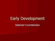 Early%20Development