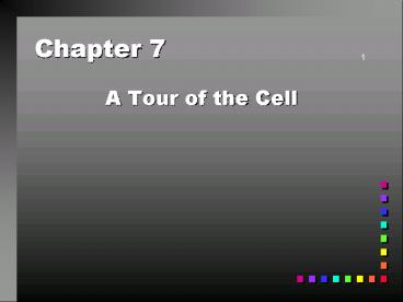 A Tour of the Cell