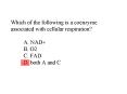 Which of the following is a coenzyme associated with cellular respiration A' NAD B' O2 C' FAD D' bot PowerPoint PPT Presentation