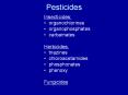 Pesticides PowerPoint PPT Presentation