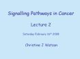 Signalling Pathways in Cancer Lecture 2 Saturday February 16th 2008 PowerPoint PPT Presentation