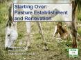 Starting Over: Pasture Establishment and Renovation PowerPoint PPT Presentation