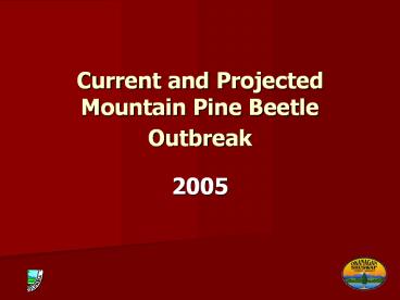 Current and Projected Mountain Pine Beetle Outbreak