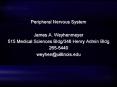 Peripheral Nervous System PowerPoint PPT Presentation