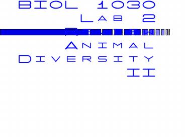 BIOL 1030 Lab 2 Review Animal Diversity II