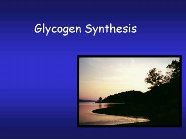 Glycogen Synthesis