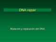 DNA repair PowerPoint PPT Presentation