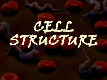 presentation player overlay