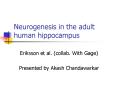 Neurogenesis in the adult human hippocampus PowerPoint PPT Presentation