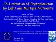 Co-Limitation of Phytoplankton by Light and Multiple Nutrients PowerPoint PPT Presentation
