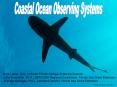 Coastal Ocean Observing Systems PowerPoint PPT Presentation