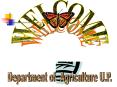 Department of Agriculture U.P. PowerPoint PPT Presentation