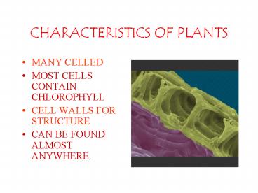 CHARACTERISTICS OF PLANTS