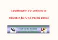 Aucun titre de diapositive PowerPoint PPT Presentation