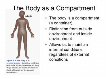 The Body as a Compartment