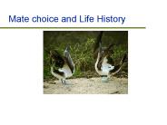Mate choice and Life History