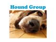 Hound Group PowerPoint PPT Presentation