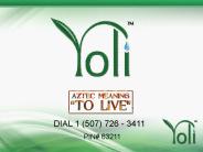 DIAL 1 (507) 726 - 3411