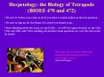 Herpetology: the Biology of Tetrapods BIOEE 470 and 472 PowerPoint PPT Presentation