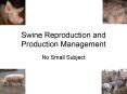 Swine Reproduction and Production Management PowerPoint PPT Presentation