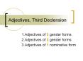 Adjectives, Third Declension PowerPoint PPT Presentation