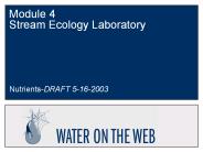 Module 4 Stream Ecology Laboratory