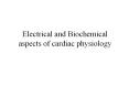 Electrical and Biochemical aspects of cardiac physiology PowerPoint PPT Presentation