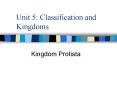 Unit 5: Classification and Kingdoms PowerPoint PPT Presentation