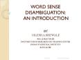 WORD SENSE DISAMBIGUATION: AN INTRODUCTION PowerPoint PPT Presentation