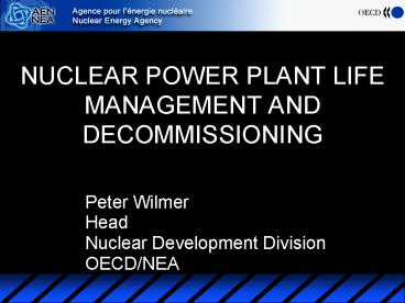 NUCLEAR POWER PLANT LIFE MANAGEMENT AND DECOMMISSIONING