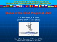 Joint Institute for Nuclear Research