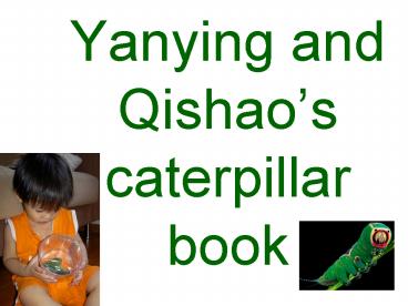 Yanying and Qishaos caterpillar book