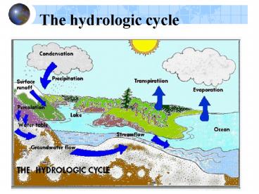 The hydrologic cycle