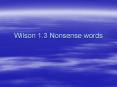 Wilson 1'3 Nonsense words PowerPoint PPT Presentation