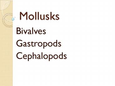 Mollusks