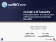 caGrid 1.0 Security Grid Authentication and Authorization with Reliably Distributed Services (GAARDS) PowerPoint PPT Presentation