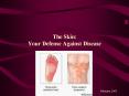 Skin/Soft Tissue Infections Issues/Topics PowerPoint PPT Presentation