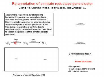 Re-annotation of a nitrate reductase gene cluster