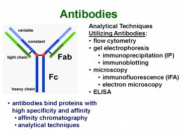 Analyses of mRNA, S1 mapping and primer extension' Analyses of gene expression at the mRNA level: in