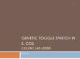 Genetic Toggle Switch in E. Coli Collins Lab (2000) PowerPoint PPT Presentation