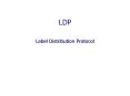 LDP PowerPoint PPT Presentation