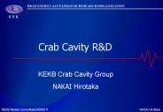 Crab Cavity R