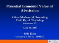 Potential Economic Value of Abscission PowerPoint PPT Presentation