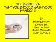 The Swine Flu' Why you should wash your hands PowerPoint PPT Presentation