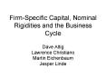 Firm-Specific Capital, Nominal Rigidities and the Business Cycle Dave Altig Lawrence Christiano Martin Eichenbaum Jesper Linde PowerPoint PPT Presentation