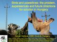 Gergo Halmos, MME BirdLife Hungary PowerPoint PPT Presentation