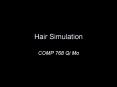 Hair Simulation PowerPoint PPT Presentation