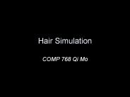 Hair Simulation