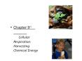 Chapter 9~Cellular Respiration: Harvesting Chemical Energy PowerPoint PPT Presentation
